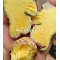 Jugo de extracto de raíz de jengibre puro orgánico
